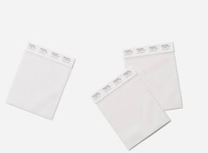 Branco acinzentado Cloud Dancer é a Cor do Ano da Pantone 2026